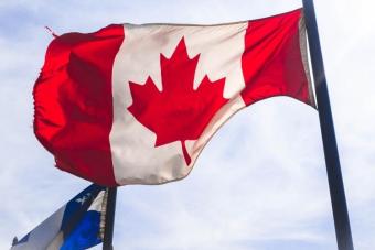 Le guide malin du séjour linguistique à Montréal : tout ce qu’il faut savoir