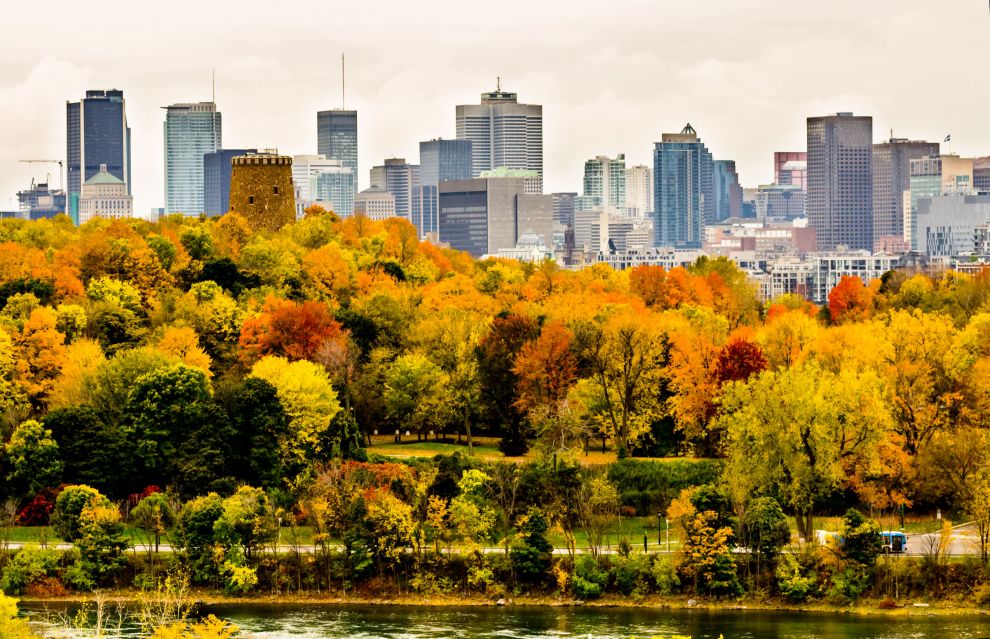 sejour_linguistique_montreal